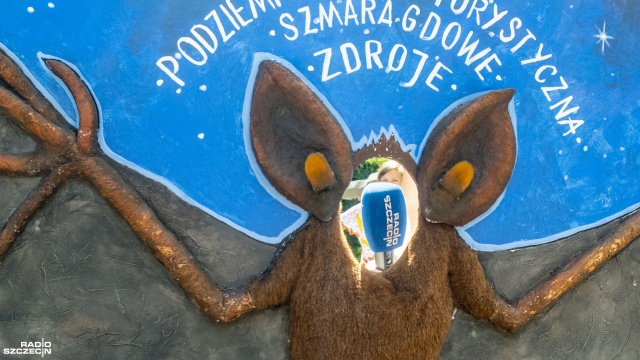 Warsztaty, gry edukacyjne, rodziny z dziećmi i oczywiście tort. Tak wyglądała impreza nad Jeziorem Szmaragdowym. Akwen w Zdrojach obchodził w niedzielę 96 urodziny.