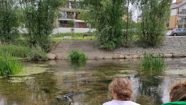 W stawie na szczecińskim Warszewie porzucony na pastwę losu został... żółw. Akcję wyławiania rozpoczęto, gdy pani Anna Pępiak zobaczyła, co pływa w akwenie. Dzięki pomocy i szybkiej mobilizacji sił, udało się odratować żółwia.