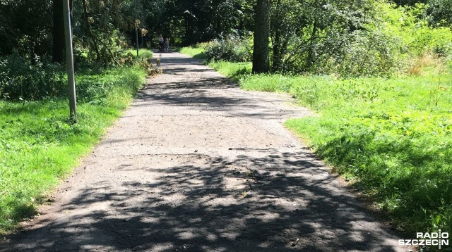 Asfalt, wyrwy i kamienie zastąpi nowa nawierzchnia - Szczecin zapowiada remont blisko 4 km alejek w Parku Żeromskiego.