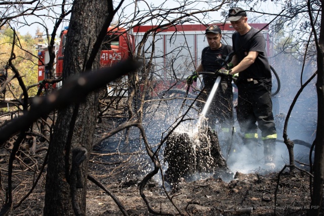 Strażacy opanowali największe ogniska pożarów, które od ponad tygodnia płonęły w Grecji. Dzięki wysiłkom służb oraz deszczom i niższej temperaturze od wczoraj nie pojawiły się nowe ogniska, a strażacy walczą jedynie z kilkoma dogasającymi zarzewiami.