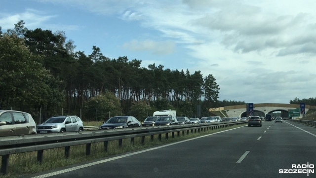 Sprawdzamy sytuację na drogach regionu i miasta.