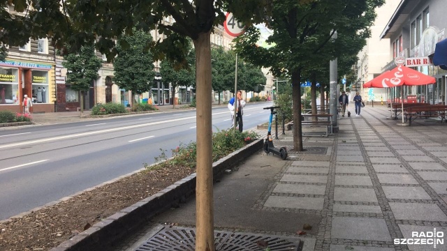 Policja zajmie się sprawą okorowania dwóch drzew na ulicy Krzywoustego.