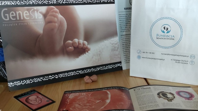 Edukacyjne karty Genesis to nowa propozycja Fundacji Małych Stópek. Mają związek z książką Genesis. Początek życia człowieka, którą fundacja wydała w marcu.