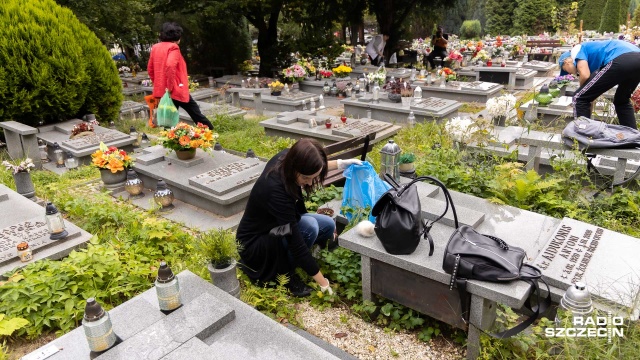 Pamięć im się po prostu należy - tak mówią członkowie i sympatycy stowarzyszenia Paczka dla Bohatera, którzy od rana sprzątają groby Cmentarzu Centralnym w Szczecinie.