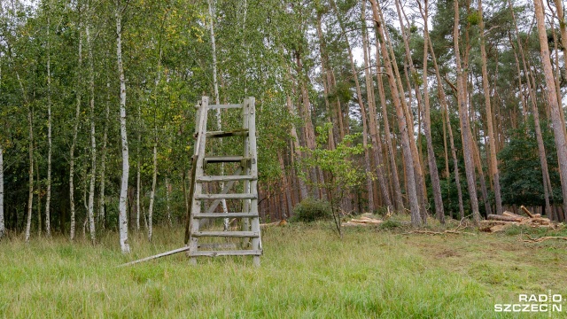 Więźniowie będą pracować w pilskich lasach - dyrektor Regionalnej Dyrekcji Lasów Państwowych w Pile podpisał umowę o współpracy z dyrektorem okręgowym Służby Więziennej w Koszalinie.