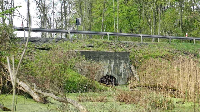 Rozpoczyna się przebudowa fragmentu drogi krajowej nr 31. Chodzi o odcinek między miejscowościami Witnica i Witniczka.