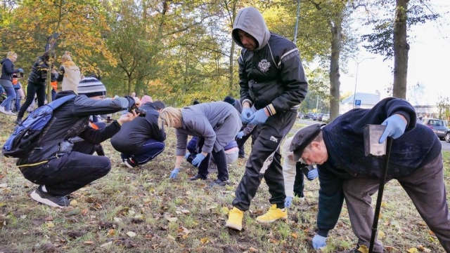 10 tysięcy nowych kwiatów pojawiło się w Gryfinie. W Parku Miejskim im. Stanisławy Siarkiewicz w Gryfinie posadziły je przedszkolaki, uczniowie i nauczyciele, podopieczni Domu Samopomocy, a także urzędnicy.