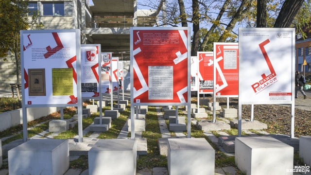 Od prawie 100 lat walczy o prawa Polaków Niemczech, ale też o sprawiedliwość po II wojnie światowej - 99 lat w tym roku kończy Związek Polaków w Niemczech.