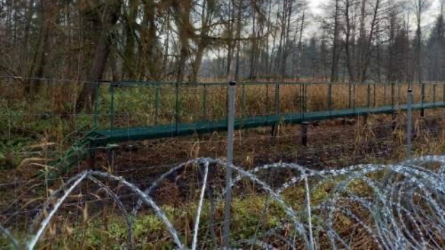 Minister obrony Mariusz Błaszczak poinformował, że Białorusini budują specjalną infrastrukturę, by przepchnąć migrantów do Polski.