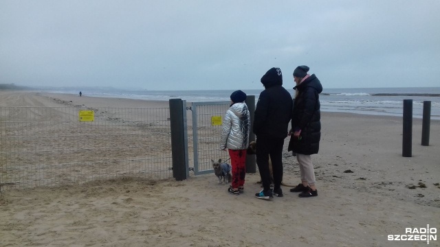 Na granicy polsko-niemieckiej w Świnoujściu stanęło ogrodzenie - przęsła rozciągają się od wydm, przez plażę aż w głąb morza. Ogrodzenie ma zabezpieczać przed rozprzestrzenianiem afrykańskiego pomoru świń.
