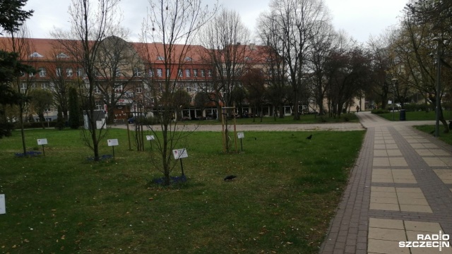 Taką decyzję podjęli miejscowi radni, choć w czerwcu dali zielone światło dla takiej lokalizacji monumentu.