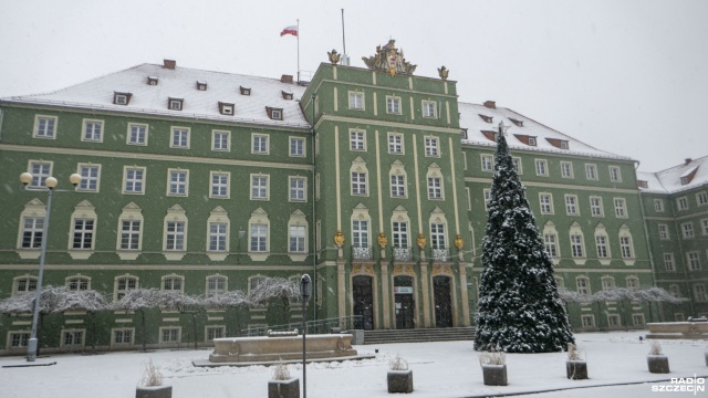 Około 10 tysięcy lampek rozbłyśnie w poniedziałek na choince przed Urzędem Miasta w Szczecinie.