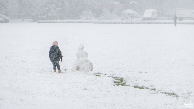 Śnieg w mieście. Odśnieżanie samochodów, spacery, jazda na sankach - z zimowej aury korzystają wszyscy.
