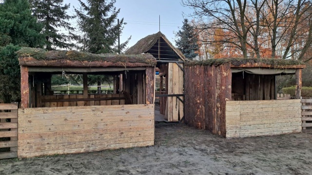 Na razie trwa jej budowa, ale już za tydzień każdy będzie mógł ją zobaczyć. Bożonarodzeniowa żywa szopka powstaje w parafii pw. Niepokalanego Poczęcia NMP w szczecińskich Żydowcach.