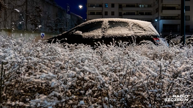 We wtorek 21 grudnia o godz. 16:59 Słońce przejdzie przez punkt Koziorożca i tym samym rozpocznie się astronomiczna zima. Szczecinianie - zapewniają, że się jej nie boją - wręcz przeciwnie.