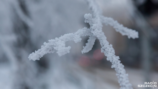 Uwaga na silny mróz w regionie. Ostrzeżenie meteorologiczne dotyczy dzisiejszej nocy.