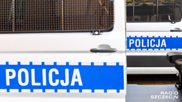 Podkomisarz Antoni Rzeczkowski z Komendy Głównej Policji zapewnił, że funkcjonariusze czuwają nad bezpieczeństwem na drogach. Patrole prowadzi kilka tysięcy policjantów.