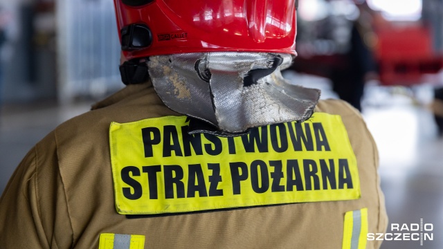 Strażacy wyjeżdżali do interwencji ponad 3000 razy, w tym do 789 pożarów. Zginęły w nich cztery osoby, jedna poniosła śmierć w wyniku zatrucia tlenkiem węgla.