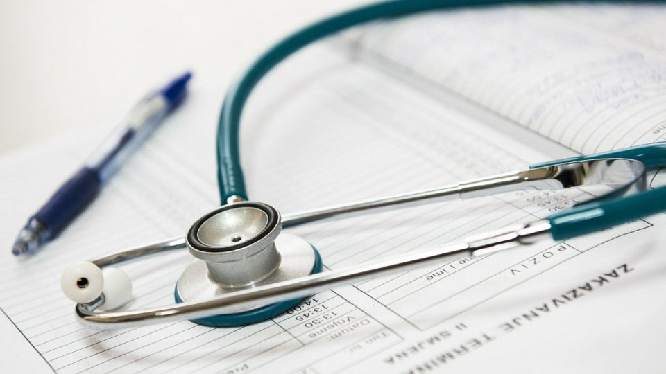 Fot. pixabay.com / DarkoStojanovic (CC0 domena publiczna)