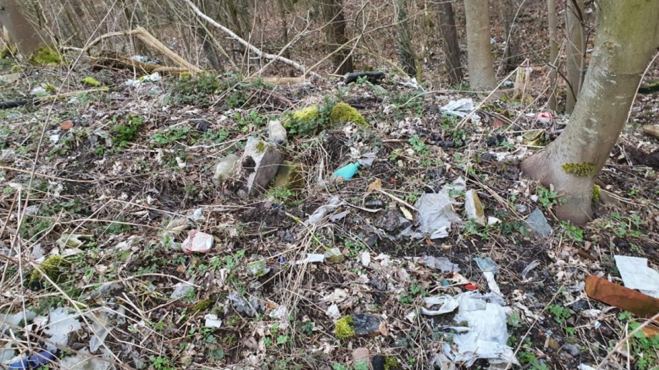 Odpady, które obecnie zalegają w okolicy byłego wysypiska śmieci. źródło: http://www.swinoujscie.pl/pl/news/content/16307.