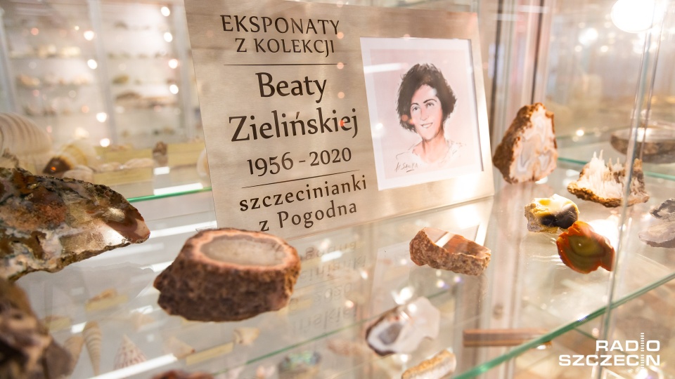 Minerały należące do Beaty Zielińskiej można już oglądać w Muzeum Geologicznym US. Fot. Robert Stachnik [Radio Szczecin]