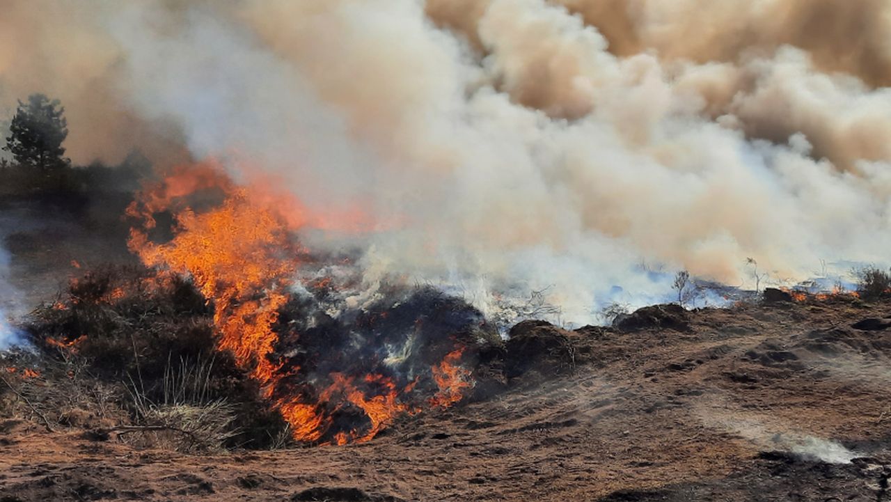 Straż pożarna ugasiła pożar ponad stu hektarów lasów pod Miskolcem w północnych Węgrzech.