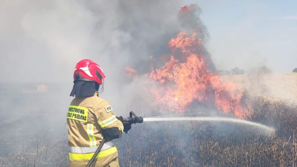 Trwa dogaszanie ogromnego pożaru w miejscowości Płonno koło Barlinka. Płoną pola ze zbożem.