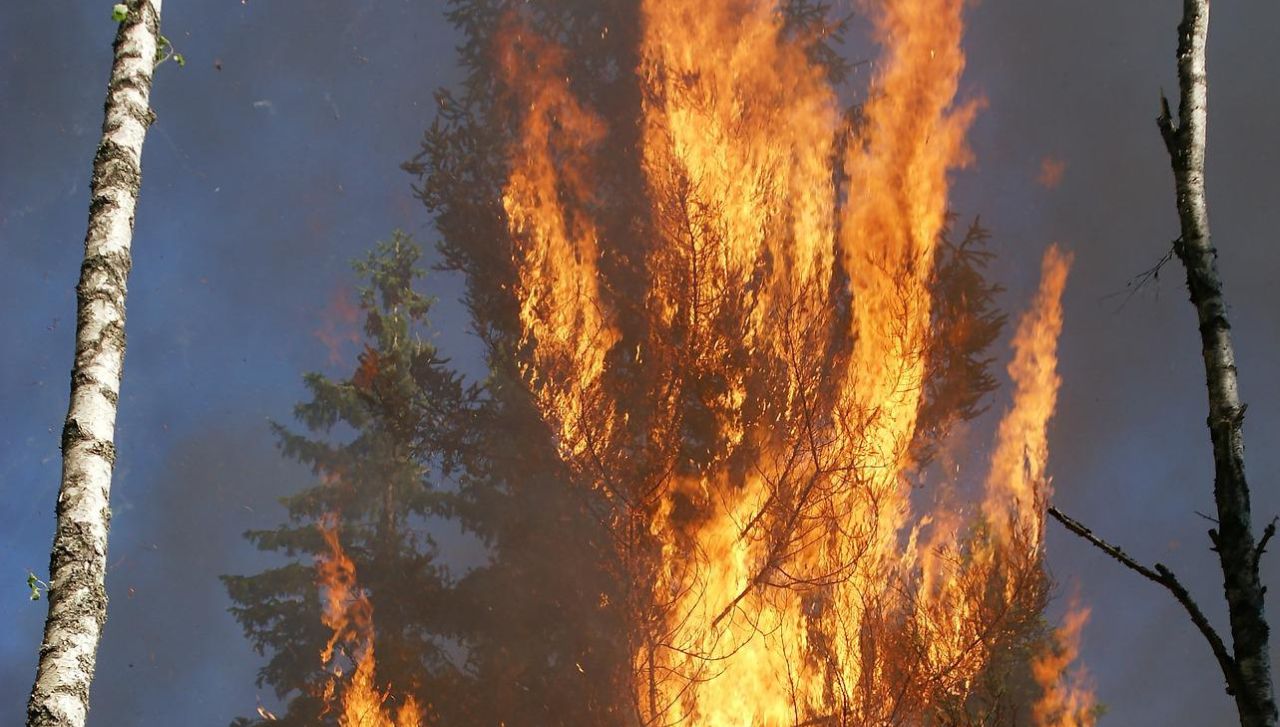 Najwyższy stopień zagrożenia pożarowego w lasach