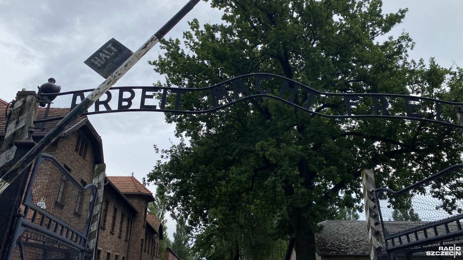 Około dwudziestu ocalałych weźmie udział w uroczystościach 78. rocznicy wyzwolenia byłego niemieckiego nazistowskiego obozu zagłady Auschwitz-Birkenau. Ich początek w południe.