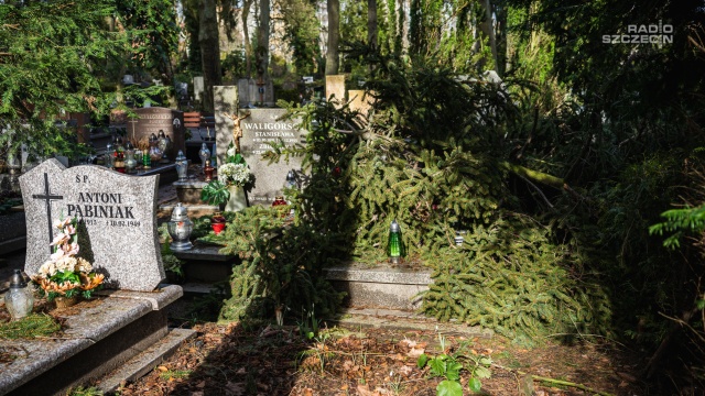 Fot. Mateusz Papke [Radio Szczecin] Na Cmentarzu Centralnym trwa sprawdzanie szkód po wichurze [WIDEO, ZDJĘCIA]