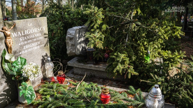Fot. Mateusz Papke [Radio Szczecin] Na Cmentarzu Centralnym trwa sprawdzanie szkód po wichurze [WIDEO, ZDJĘCIA]