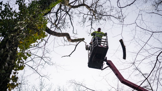 Fot. Mateusz Papke [Radio Szczecin] Na Cmentarzu Centralnym trwa sprawdzanie szkód po wichurze [WIDEO, ZDJĘCIA]