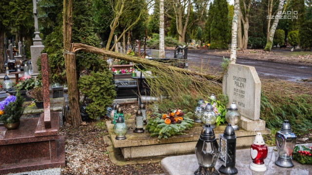Fot. Mateusz Papke [Radio Szczecin] Na Cmentarzu Centralnym trwa sprawdzanie szkód po wichurze [WIDEO, ZDJĘCIA]