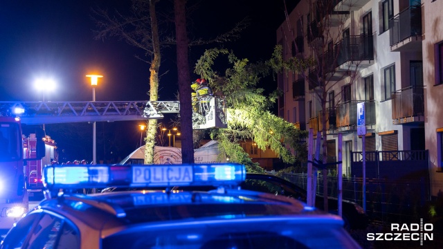 Fot. Robert Stachnik [Radio Szczecin] Skutki wichury w regionie. Zablokowane drogi, zniszczone samochody [AKTUALIZACJA, WIDEO, ZDJĘCIA]