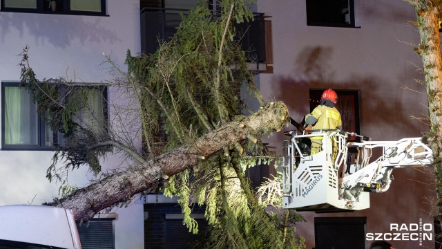 Fot. Robert Stachnik [Radio Szczecin] Skutki wichury w regionie. Zablokowane drogi, zniszczone samochody [AKTUALIZACJA, WIDEO, ZDJĘCIA]