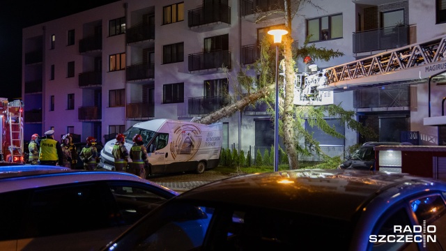 Fot. Robert Stachnik [Radio Szczecin] Skutki wichury w regionie. Zablokowane drogi, zniszczone samochody [AKTUALIZACJA, WIDEO, ZDJĘCIA]