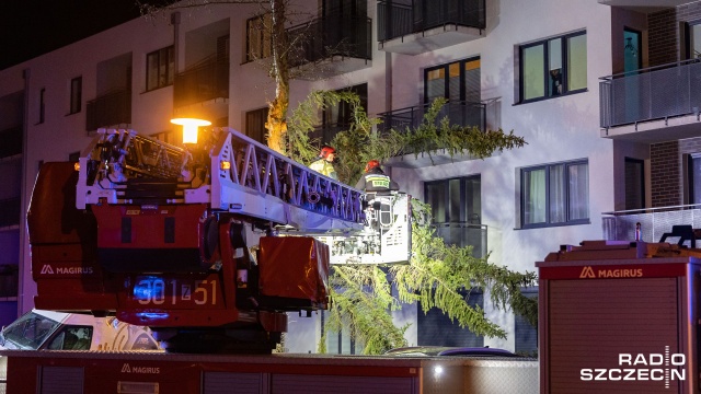 Fot. Robert Stachnik [Radio Szczecin] Skutki wichury w regionie. Zablokowane drogi, zniszczone samochody [AKTUALIZACJA, WIDEO, ZDJĘCIA]