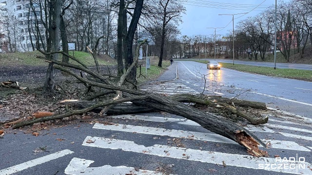 Fot. Robert Stachnik [Radio Szczecin] Skutki wichury w regionie. Zablokowane drogi, zniszczone samochody [AKTUALIZACJA, WIDEO, ZDJĘCIA]