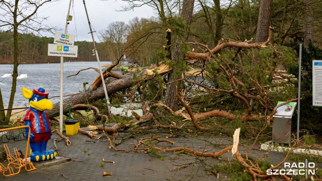Fot. Robert Stachnik [Radio Szczecin] Skutki wichury w regionie. Zablokowane drogi, zniszczone samochody [AKTUALIZACJA, WIDEO, ZDJĘCIA]