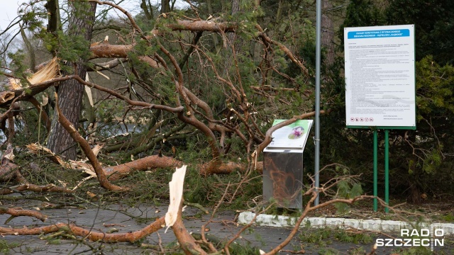 Fot. Robert Stachnik [Radio Szczecin] Skutki wichury w regionie. Zablokowane drogi, zniszczone samochody [AKTUALIZACJA, WIDEO, ZDJĘCIA]