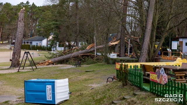 Fot. Robert Stachnik [Radio Szczecin] Skutki wichury w regionie. Zablokowane drogi, zniszczone samochody [AKTUALIZACJA, WIDEO, ZDJĘCIA]