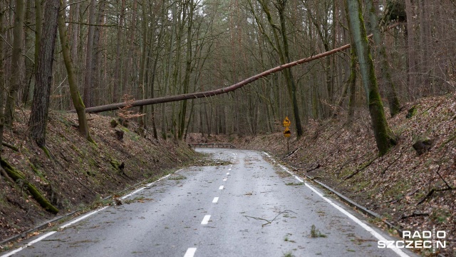 Fot. Robert Stachnik [Radio Szczecin] Skutki wichury w regionie. Zablokowane drogi, zniszczone samochody [AKTUALIZACJA, WIDEO, ZDJĘCIA]
