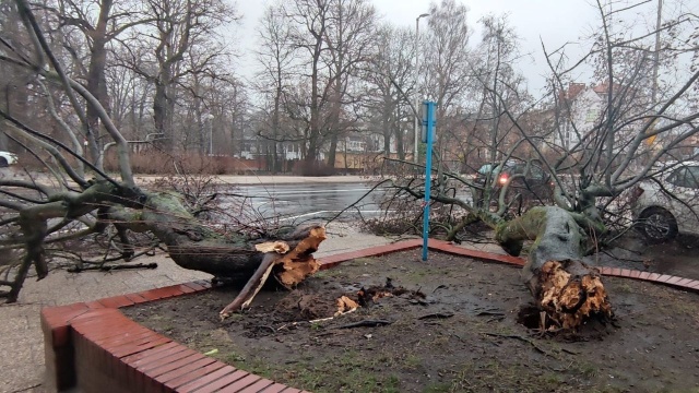 Koszalin. Fot. Facebook Wypadki i pożary w Zachodniopomorskim Skutki wichury w regionie. Zablokowane drogi, zniszczone samochody [AKTUALIZACJA, WIDEO, ZDJĘCIA]