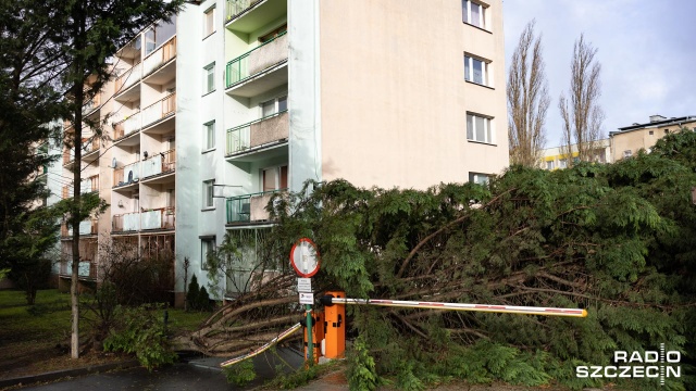 Fot. Robert Stachnik [Radio Szczecin] Skutki wichury w regionie. Zablokowane drogi, zniszczone samochody [AKTUALIZACJA, WIDEO, ZDJĘCIA]