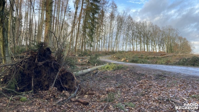 Fot. Tomasz Duklanowski [Radio Szczecin] Drawsko po wichurze: Stacje paliw zamknięte, otwarte tylko dwa sklepy [ZDJĘCIA]