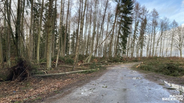 Fot. Tomasz Duklanowski [Radio Szczecin] Drawsko po wichurze: Stacje paliw zamknięte, otwarte tylko dwa sklepy [ZDJĘCIA]