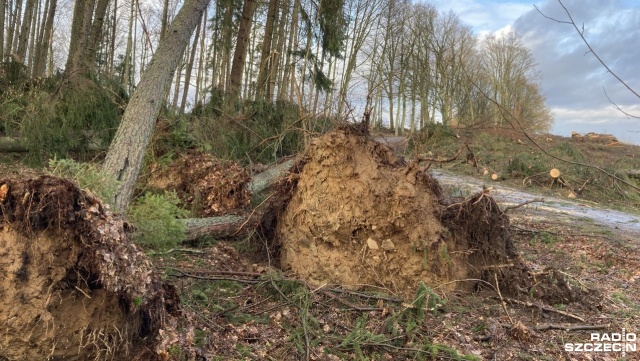 Fot. Tomasz Duklanowski [Radio Szczecin] Drawsko po wichurze: Stacje paliw zamknięte, otwarte tylko dwa sklepy [ZDJĘCIA]