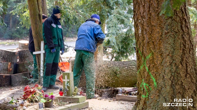 Fot. Robert Stachnik [Radio Szczecin] Cmentarz Centralny otwarty. Wciąż trwa liczenie strat [ZDJĘCIA]