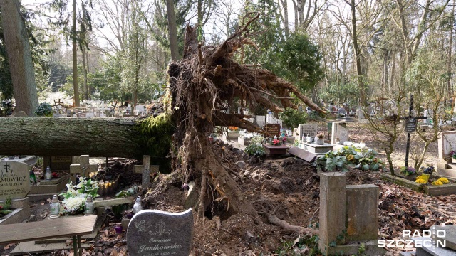 Fot. Robert Stachnik [Radio Szczecin] Cmentarz Centralny otwarty. Wciąż trwa liczenie strat [ZDJĘCIA]
