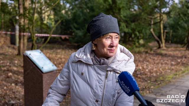 Fot. Robert Stachnik [Radio Szczecin] Cmentarz Centralny otwarty. Wciąż trwa liczenie strat [ZDJĘCIA]